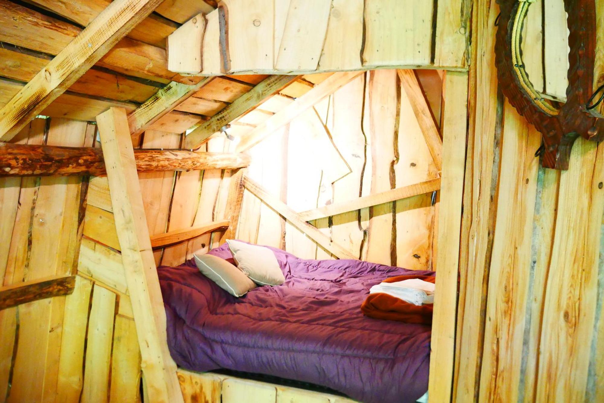 Alsace Les Castors Campsite