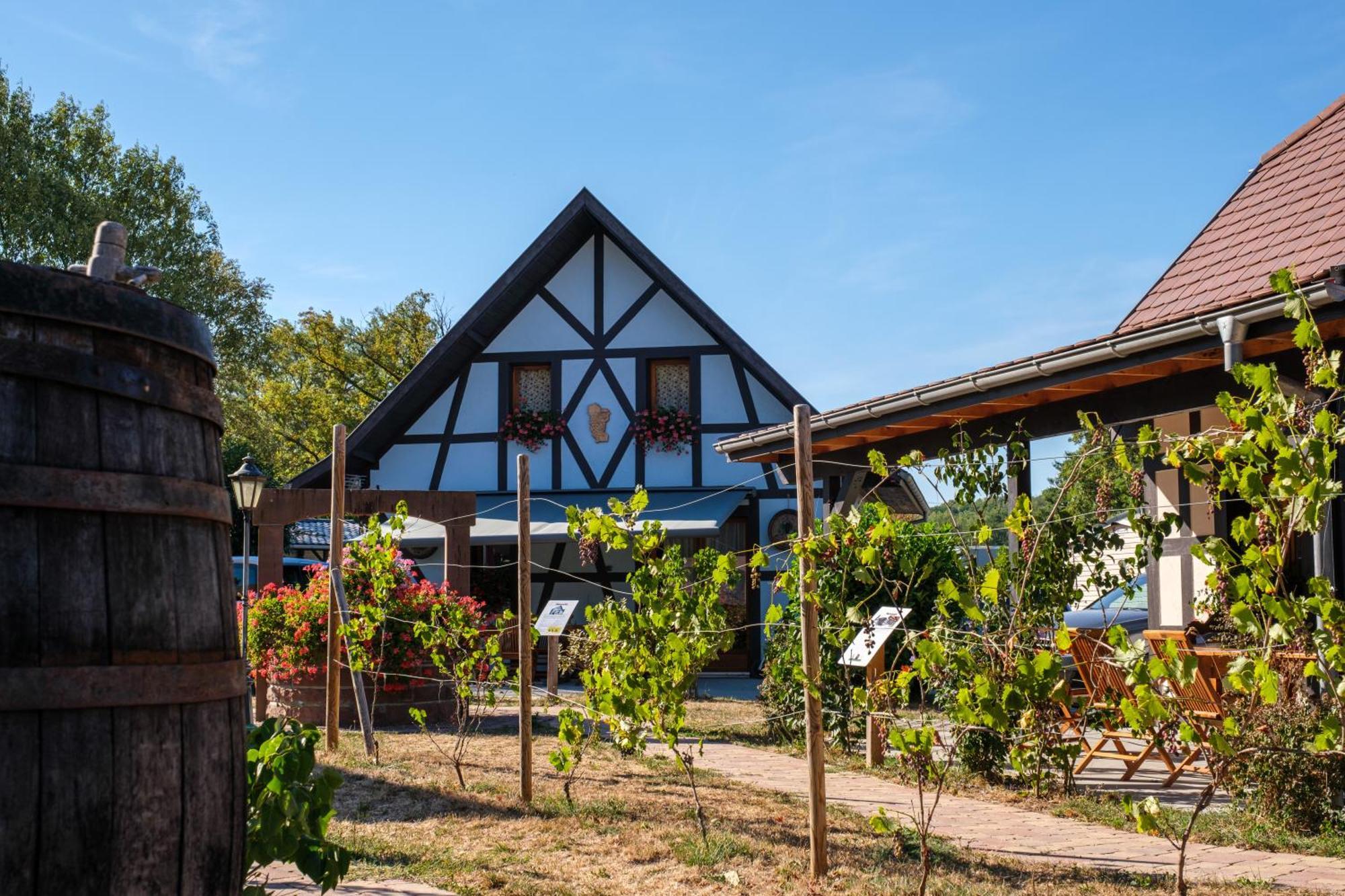 Campingplatz Alsace Les Castors *